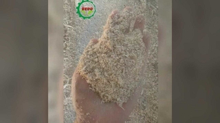 Macchina sicura per la segatura di legno con protezione da sovraccarico e arresto di emergenza